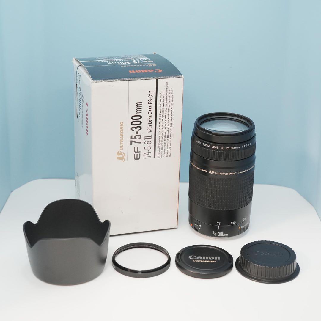 Canon純正 75-300mm 望遠レンズ 極美品 a4951