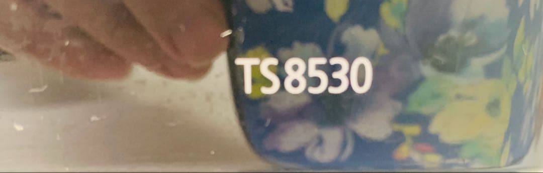 Canon インクジェットプリンター TS8530