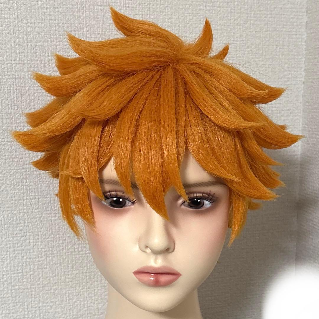 ハイキュー コスプレ ウィッグ 日向翔陽