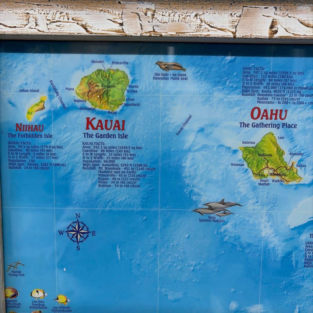 ハワイ島の説明絵画