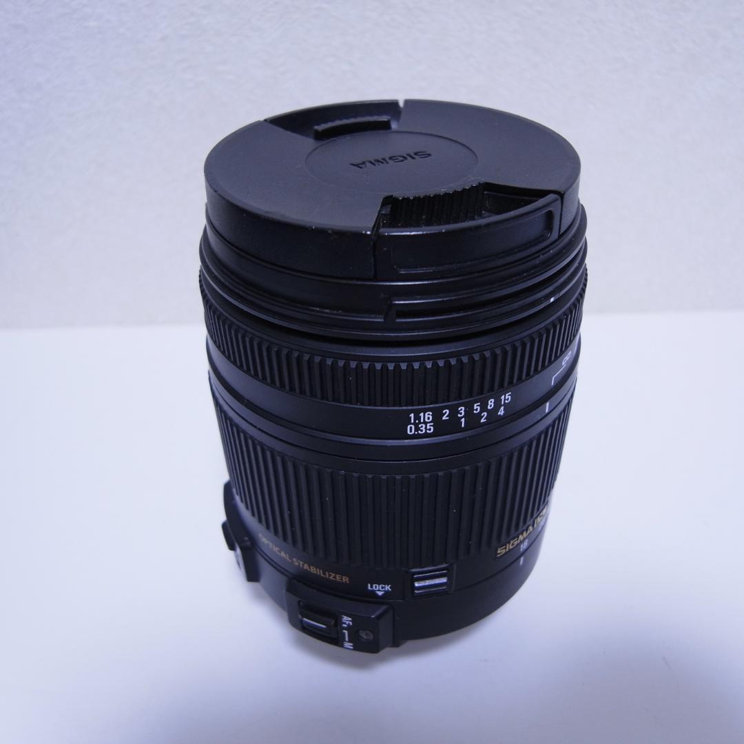 SIGMA 18-250mm DC MACRO OS HSM ニコン