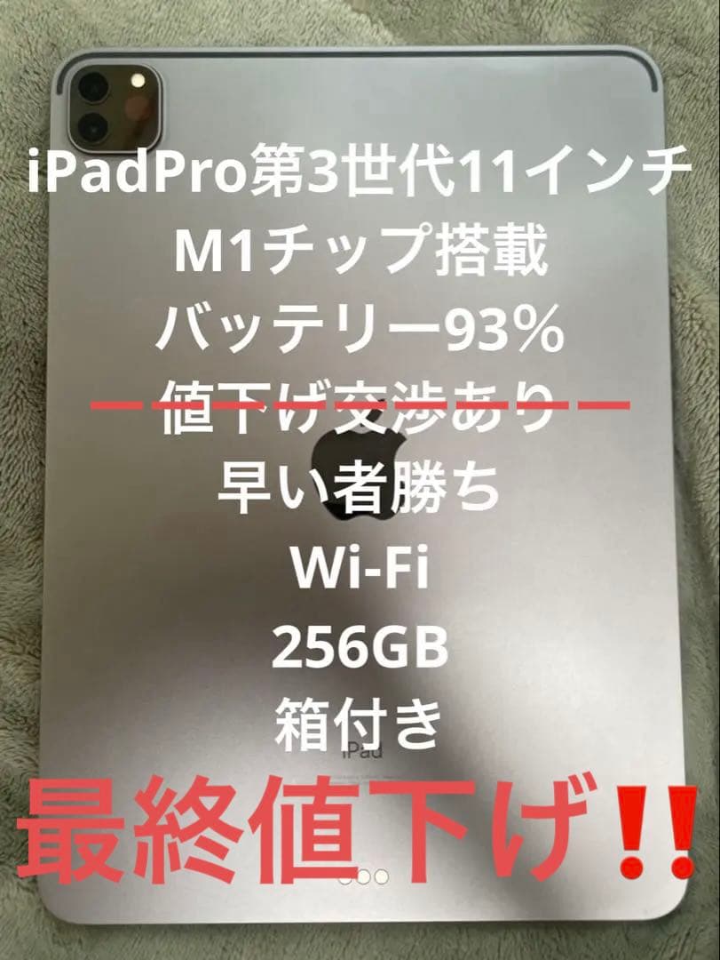 Apple iPad Pro 第3世代　Wi-Fi 256G バッテリー93%
