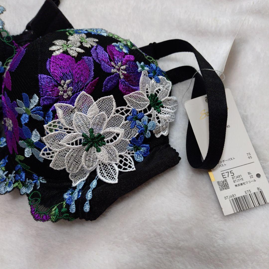 サルート　salute ブラジャーショーツセット81g E75 M