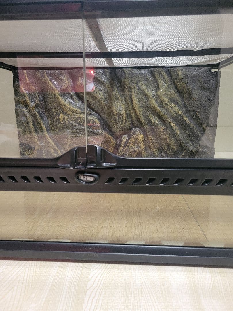 GEX グラステラリウム 6030 バックボード・ステイ付