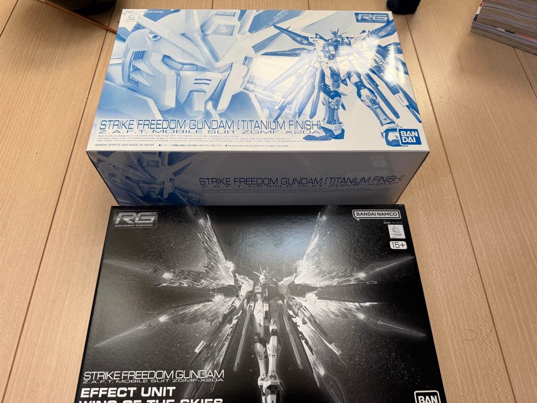 RGストライクフリーダムガンダム チタニウムフィニッシ+天空の翼