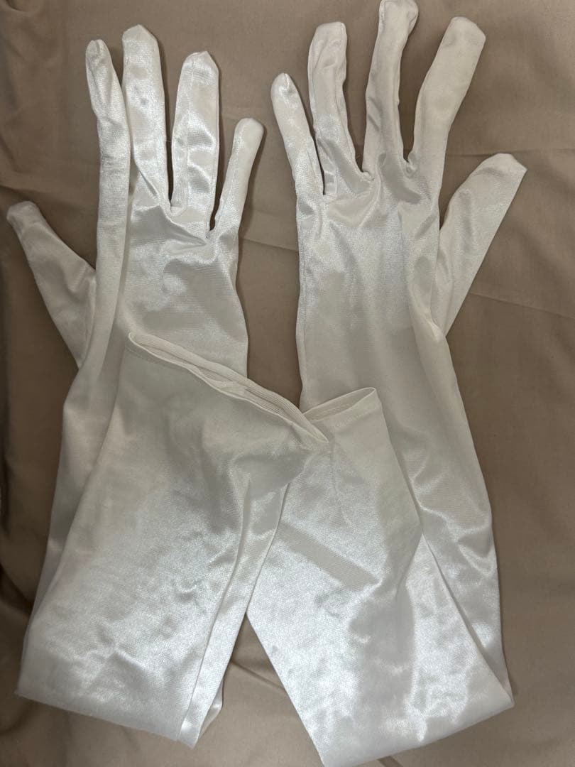 シンデレラ　ドレス　Dハロ