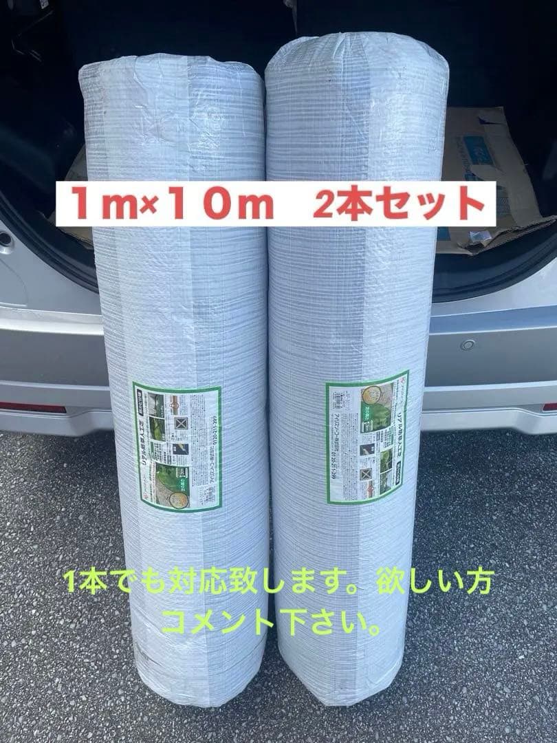 アイリスオーヤマ　IRIS OHYAMA 人工芝 1m×10m RP-30110