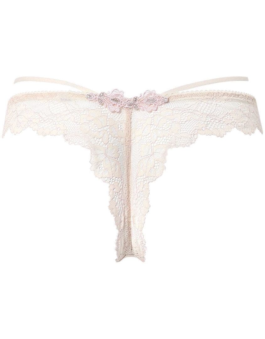 サルート　限定品　グループ29 d70