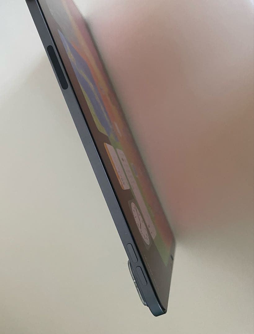 最終値下げ　iPad pro 第4世代256GB +ApplePencil