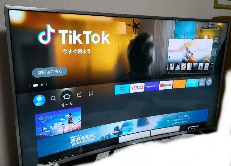 ハイセンスhisense 4K 55インチ曲面TV　55EC88チューナーレス
