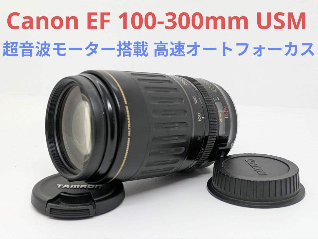 1月14日限定【超望遠レンズ】Canon EF 100-300mm USM