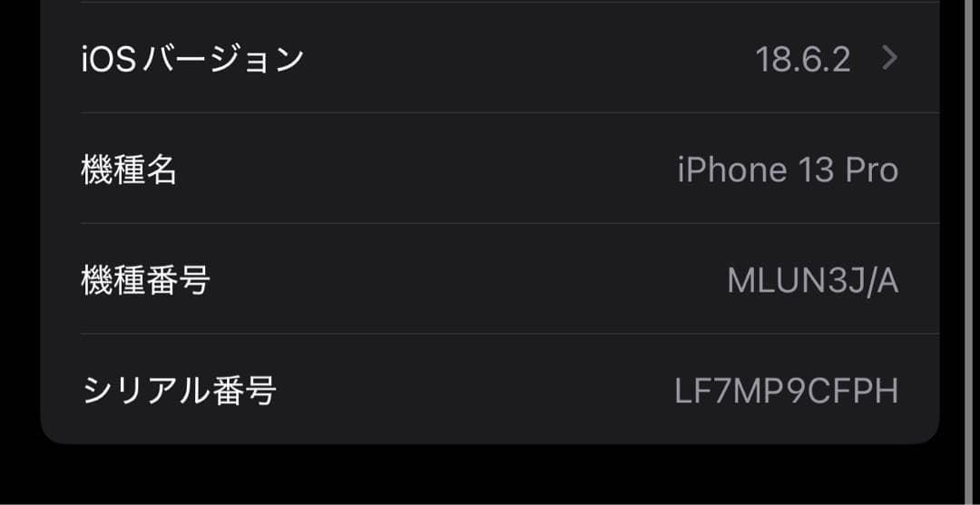 iPhone13Pro 256GB ケース付属