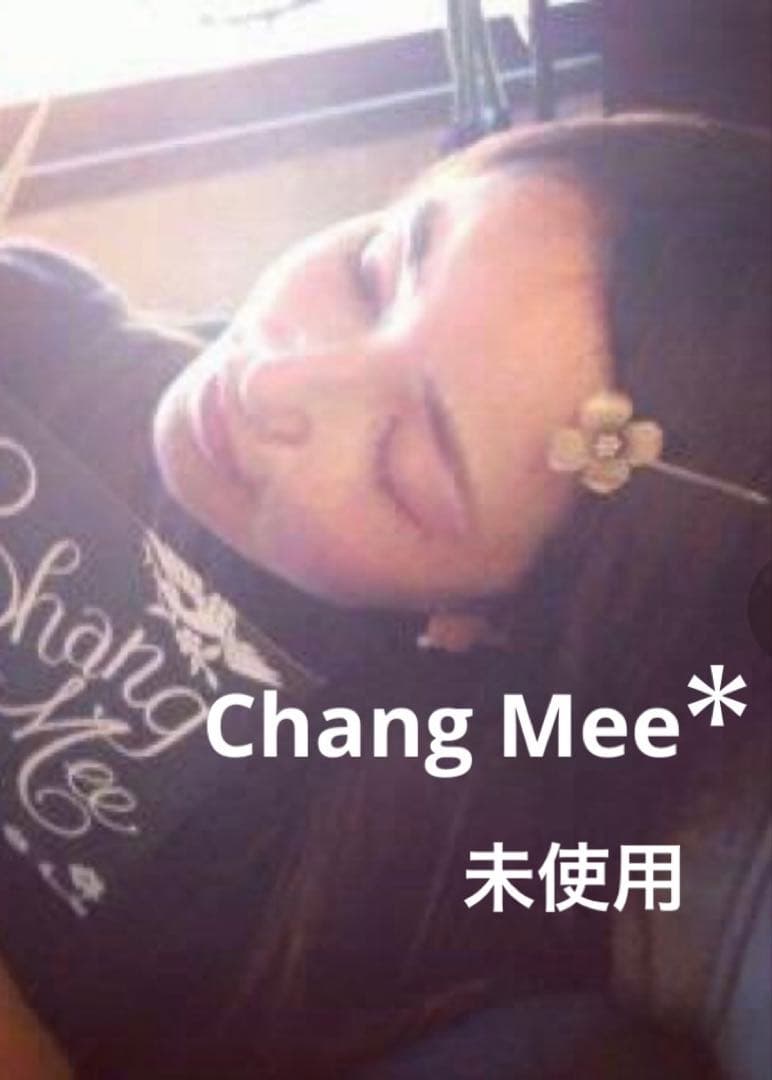 ⭐️希少⭐️ Chang Mee チャンミー　ヘアピン　ヘアアクセ　風間ゆみえ　梨花