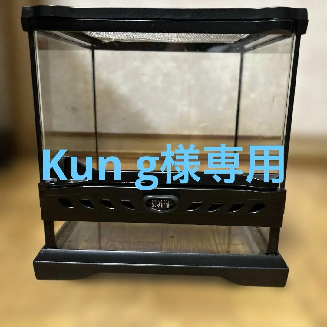 グラステラリウムナノキューブ１つとナノ２つ