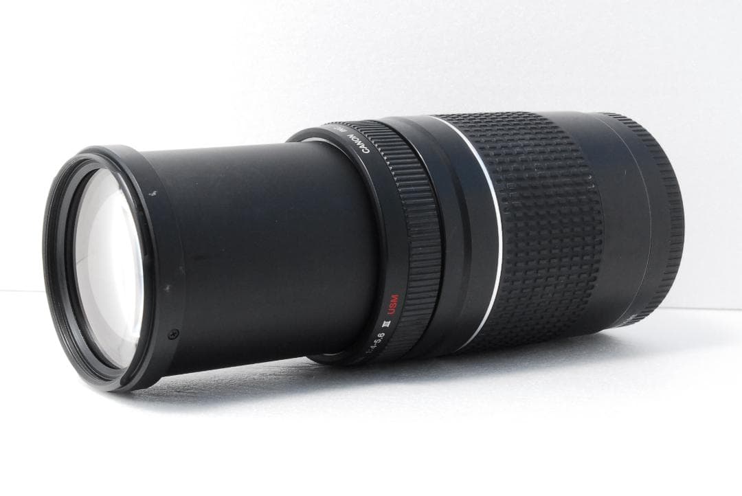 キヤノン Canon EF 75-300㎜ F4-5.6 Ⅲ USM 望遠