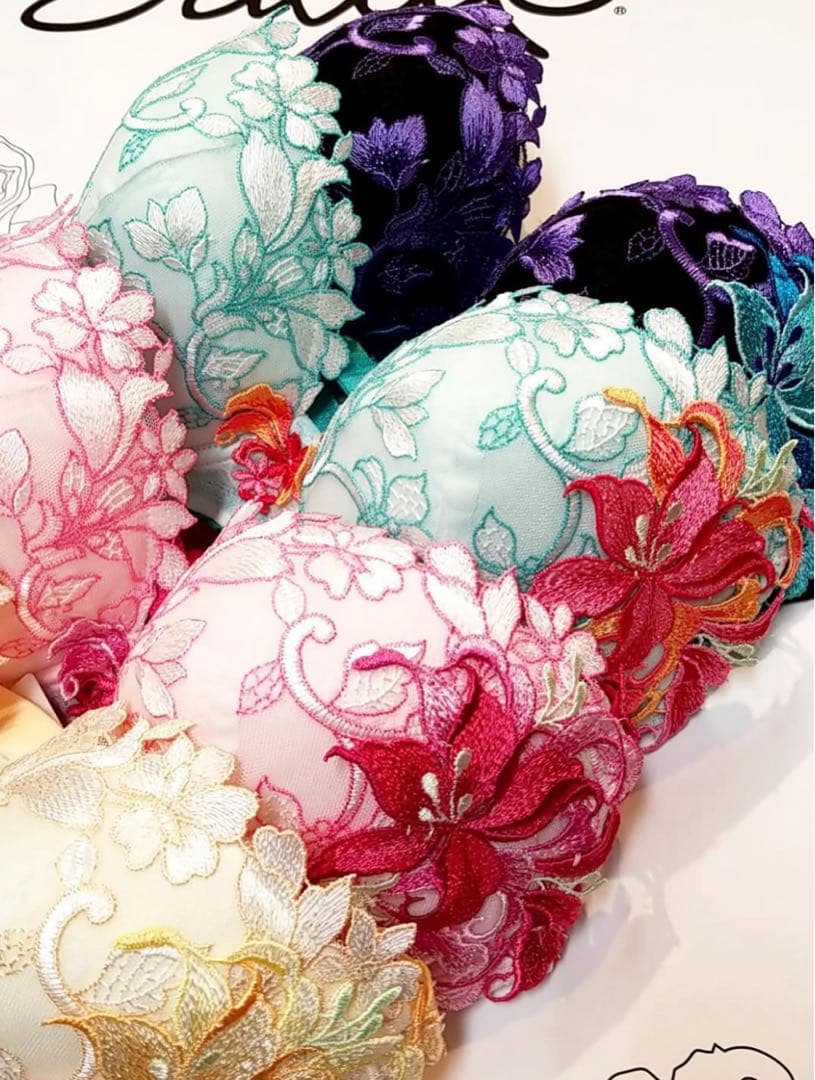 ワコール/サルート 53G 新品タグ付 P-upブラソング2点 E70 RP