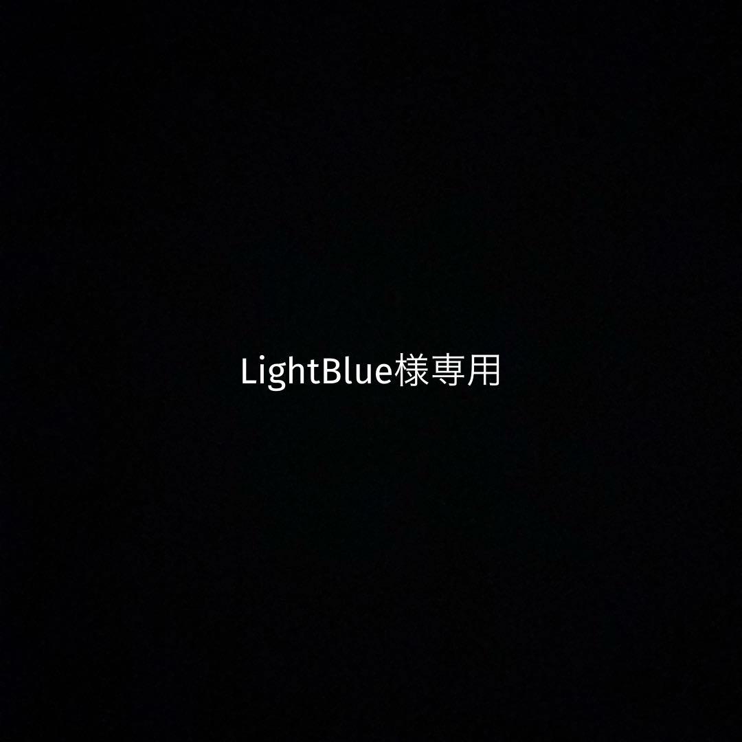語学・辞書・学習参考書 LightBlue