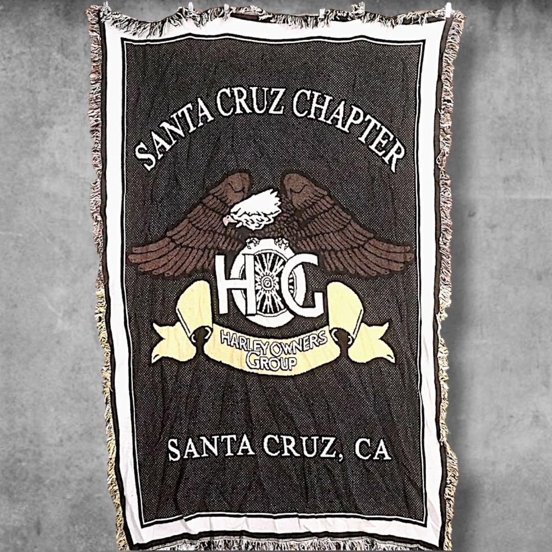 BOiE バイク ラグ 古着HARLEY DAVIDSON ハーレーダビッドソン