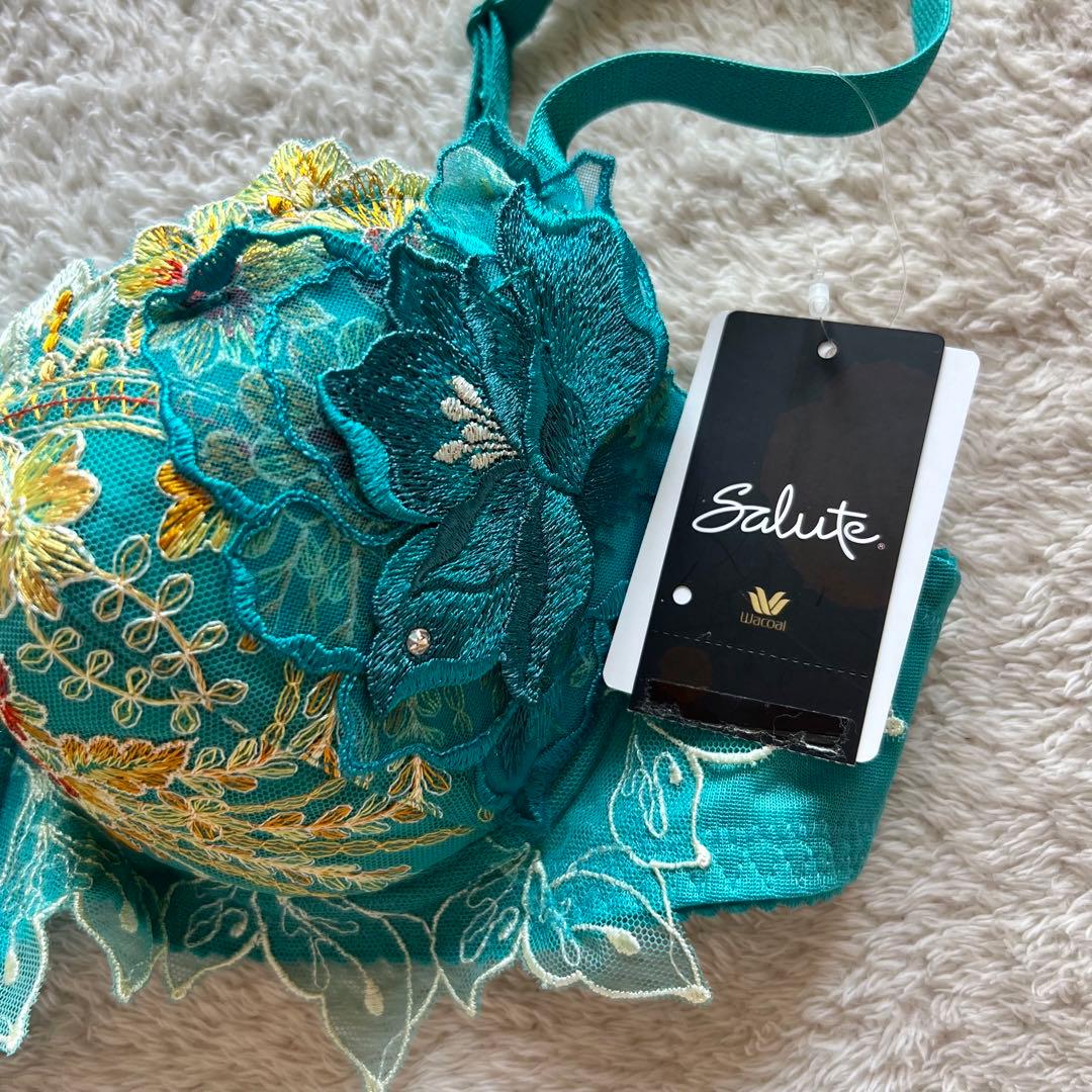 Saluteサルート　17g ブラD70　ソングM 　世界遺産黄龍BS