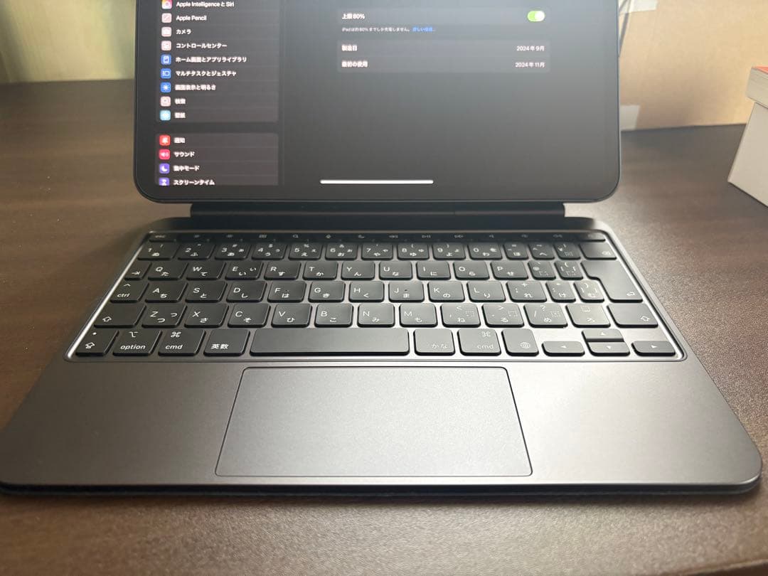 M4 iPad Pro 11インチ Cellular 256GB セット