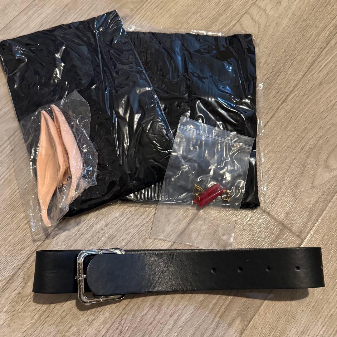 葬送のフリーレン コスプレ フルセット 武器付き