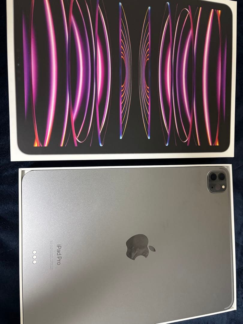 Apple iPad Pro 11インチ シルバー 本体　本日値下げ