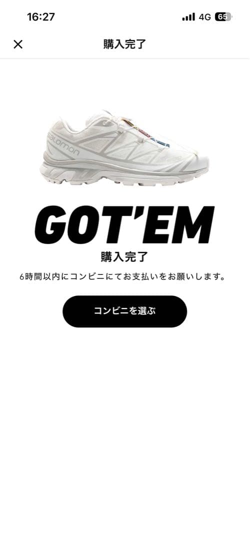 Salomon xt6 adv 白　ホワイト