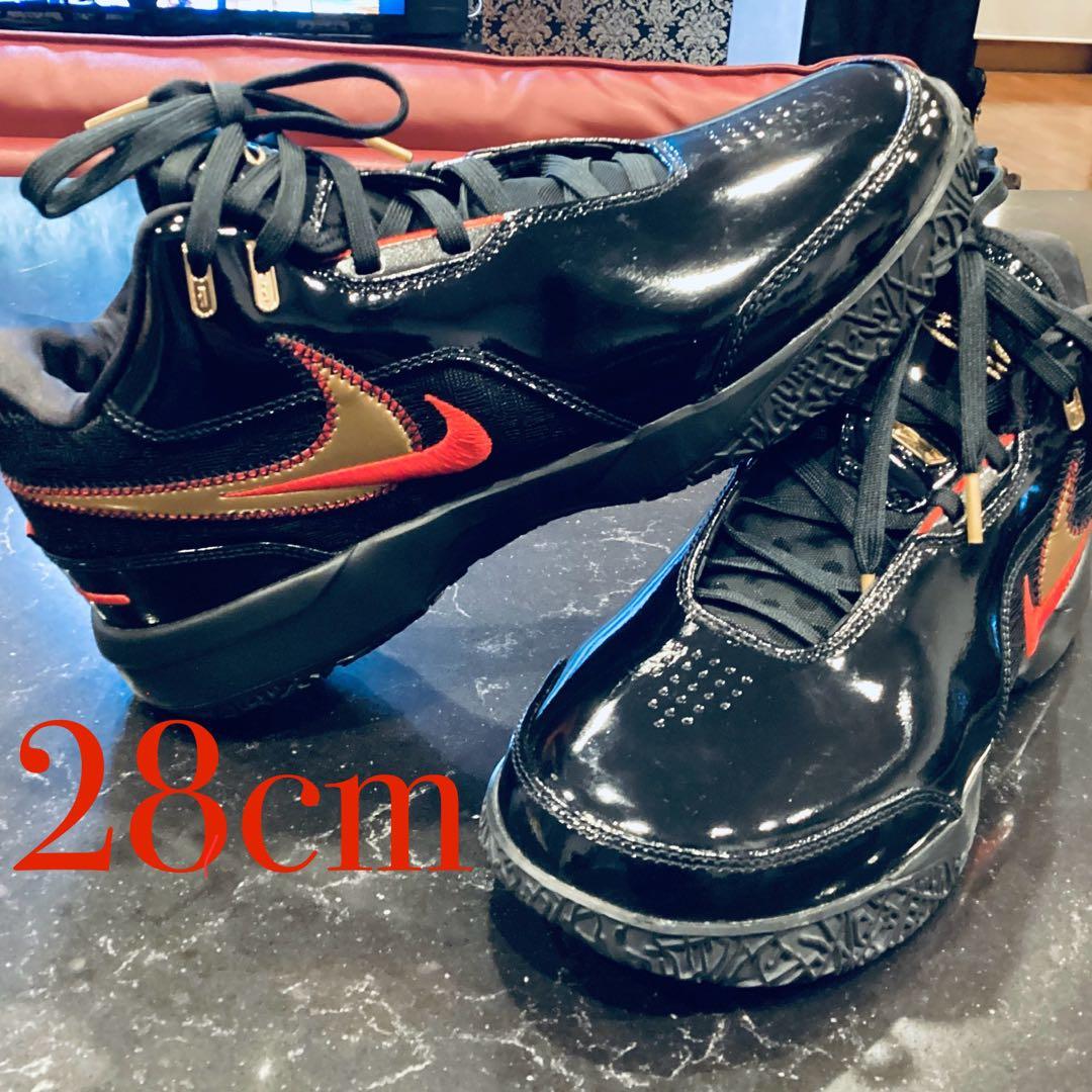 NIKE レブロン NXXT Gen AMPD EP 28.0cm