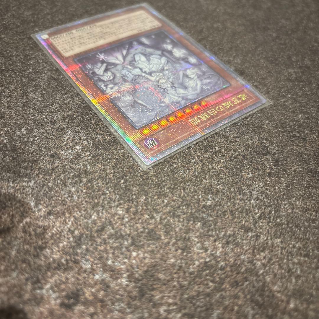 迷宮城の白銀姫 絵違い(レディ・オブ・ラビュリンス)25th クオシク