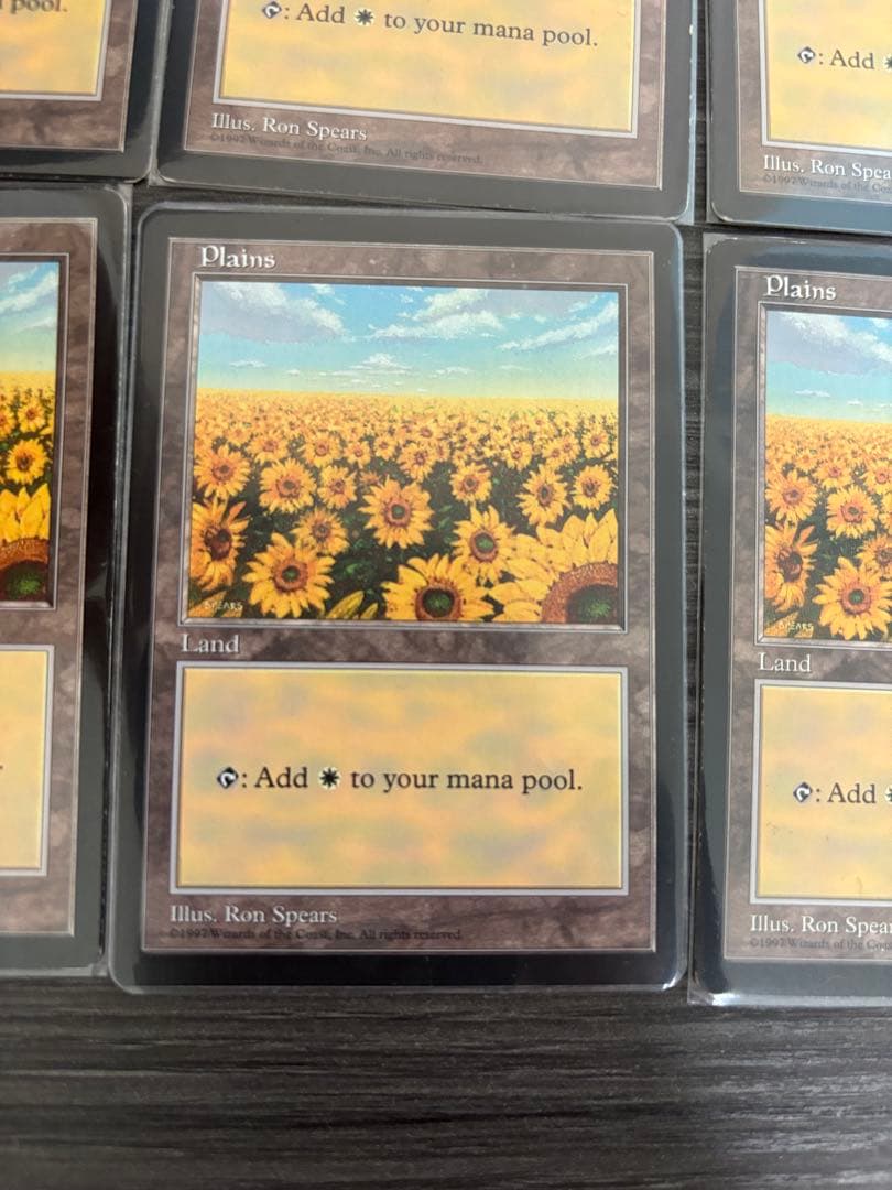 MTG APACランド 平地 ひまわり 6枚セット