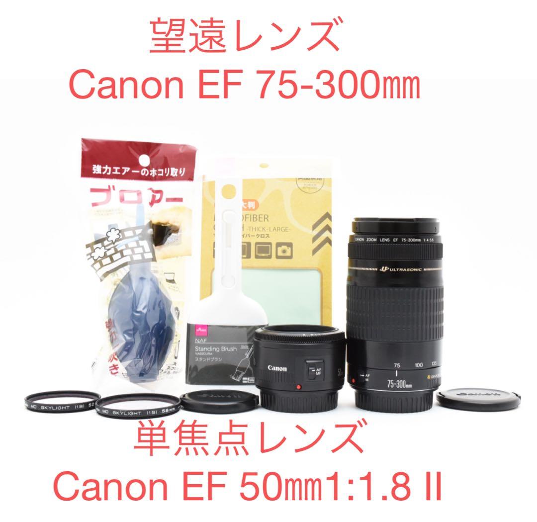 単焦点 Canon EF50㎜/望遠CANON EF 75-300㎜（2セット）