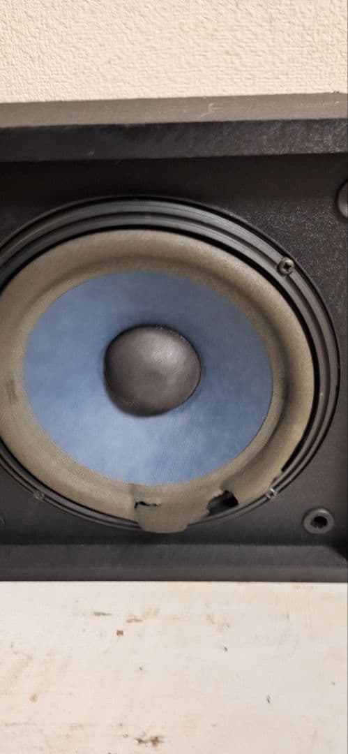 BOSE 301MUSIC MONITORⅡ左右ペア 希少品 ヴィンテージ