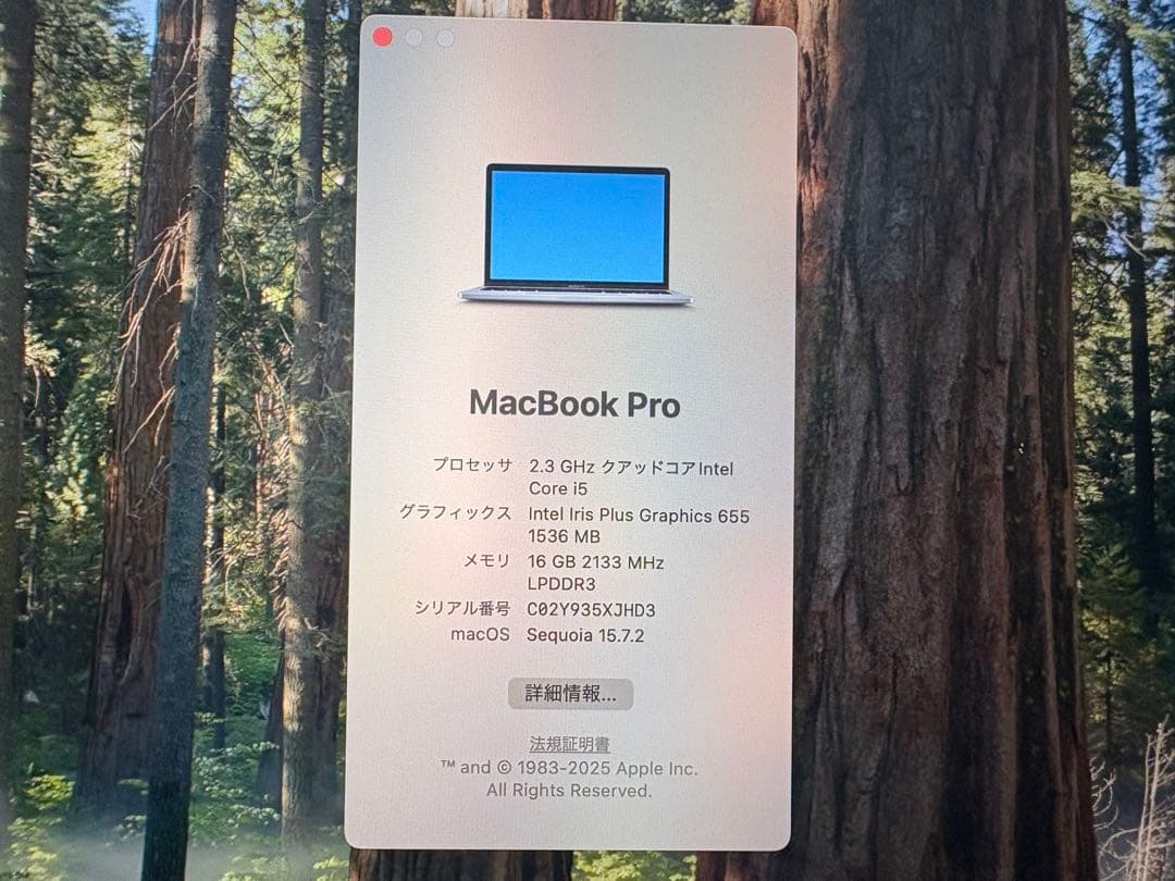 【16GB】13inch MacBook Pro 2018 【SSD 512】