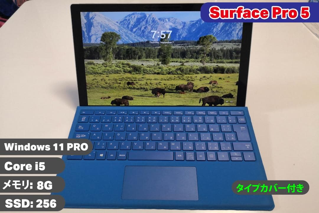 【日曜昼までお値下げ】Surface Pro 5  i5  256GB/8GB