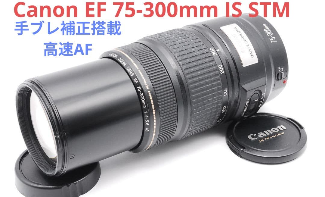 1月30日限定【超望遠レンズ】Canon EF 75-300mm IS USM
