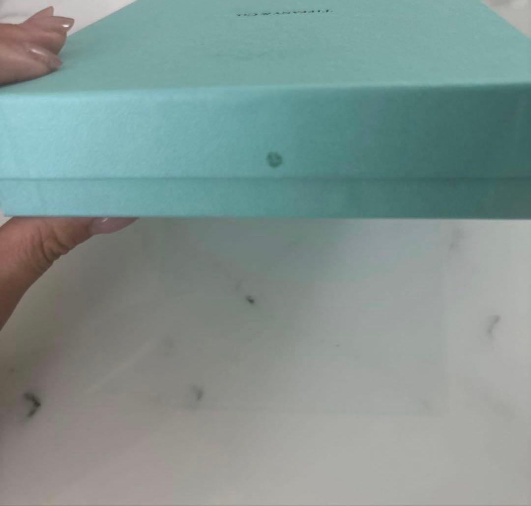 Tiffany&Co. ハードウェア　スモール　ラップ　ネックレス　シルバー