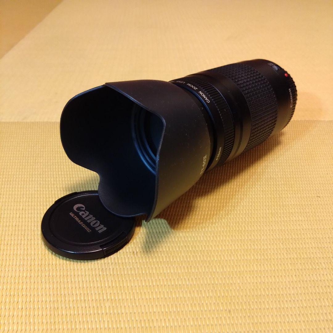 Canon EF 75-300mm 望遠ズームレンズ