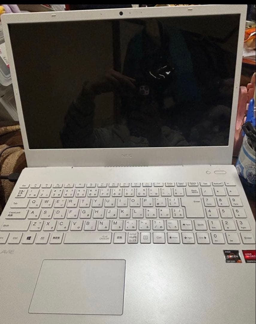 LAVIE N15 N1565/CA ［PC-N1565CAW］ 2021年秋