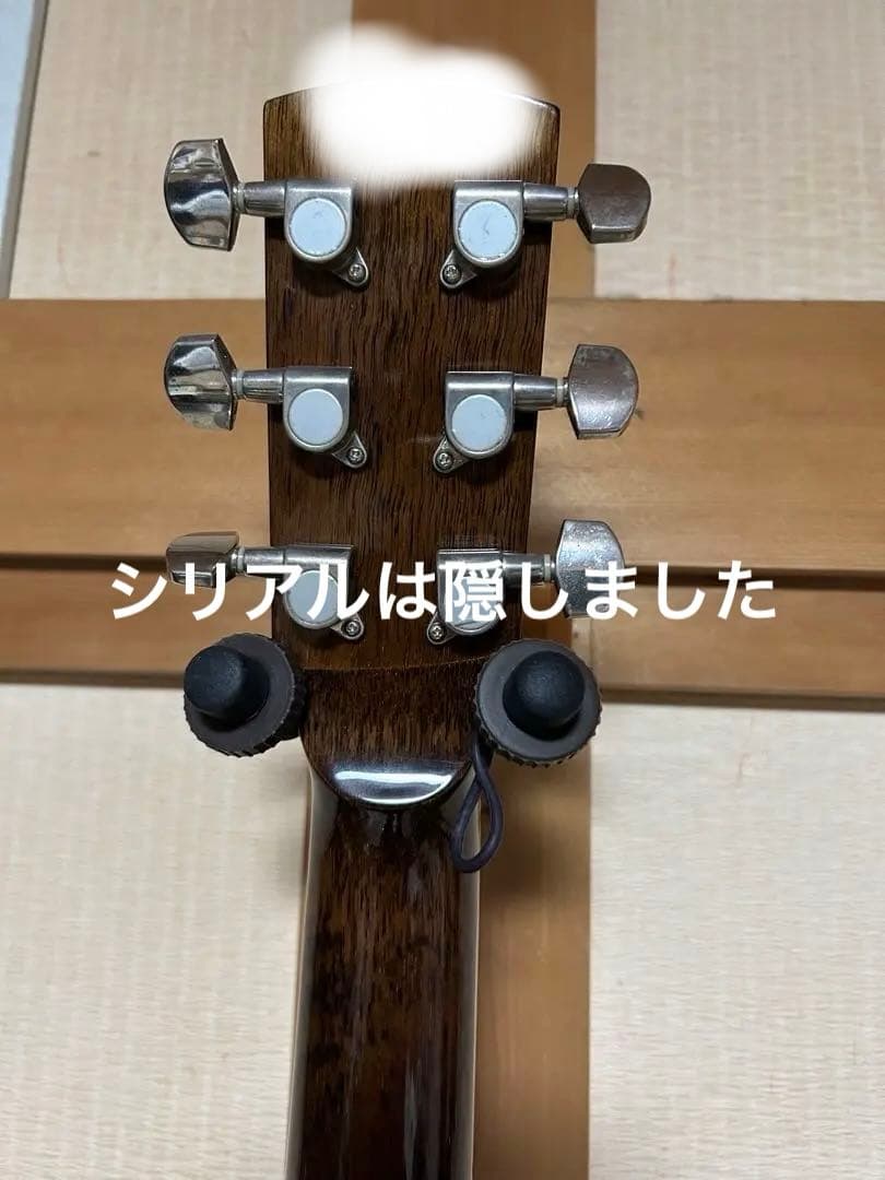 Regal/リゾネーター　ギター