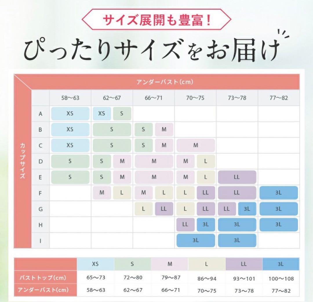 PGブラ 益若つばさ ナイトブラ　ホワイト 、ブラックLL