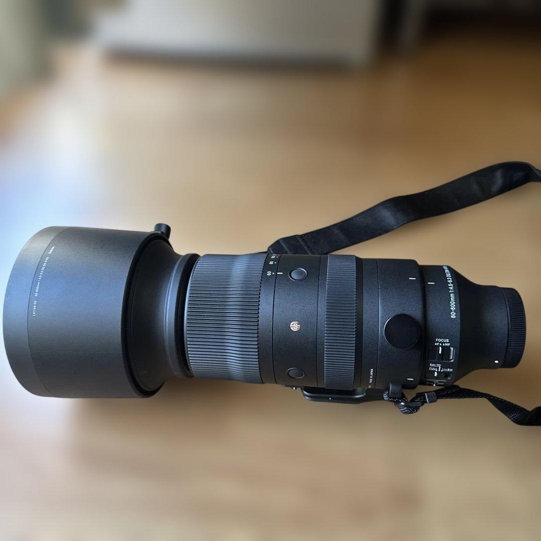 シグマ 60-600mm F4.5-6.3 DG DN OS ソニーE用