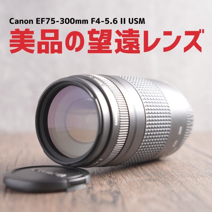 ✨美品✨超望遠✨イベントに✨Canon EF 75-300mm II　323