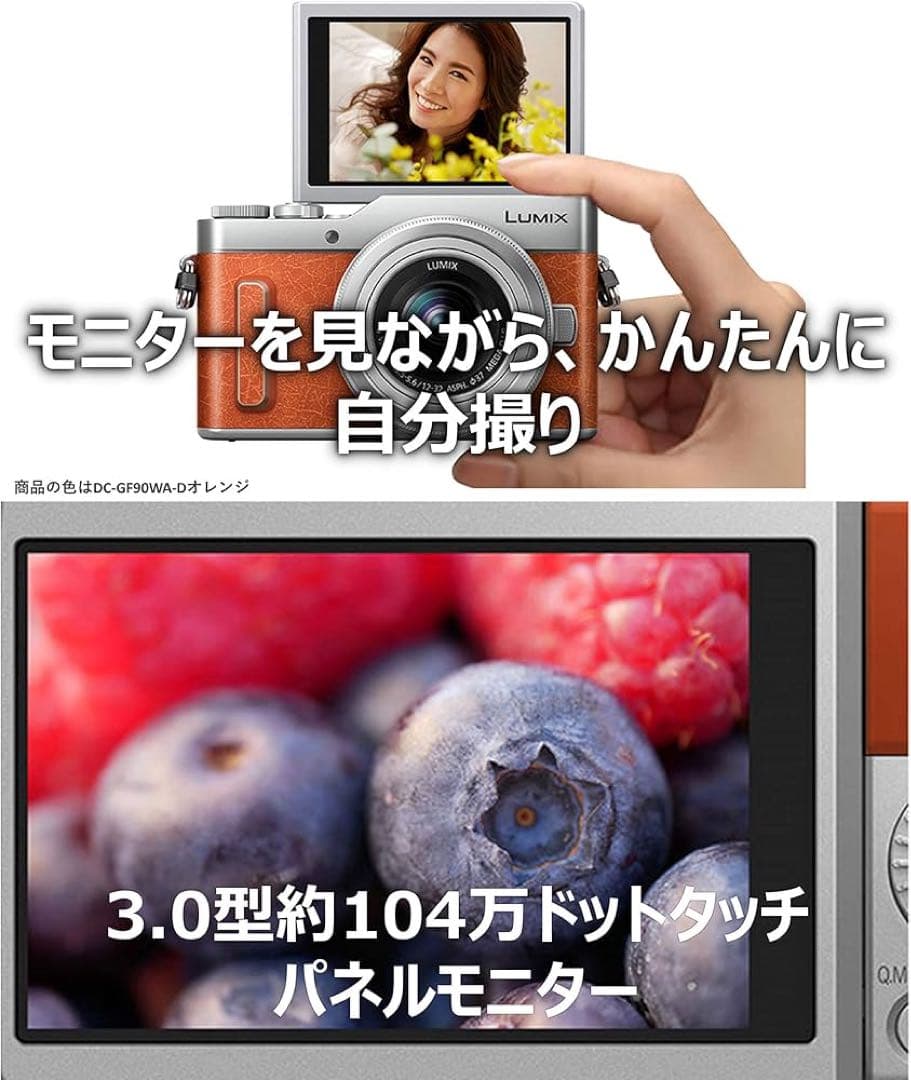 【簡易三脚&収納ポーチ2種付】Panasonic LUMIXダブルレンズキット