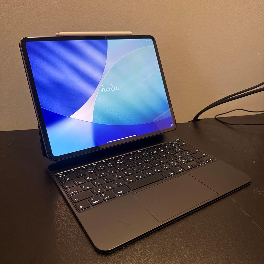 iPad Pro M4 Wi-Fi13インチ256GBキーボード　ペンシルプロ