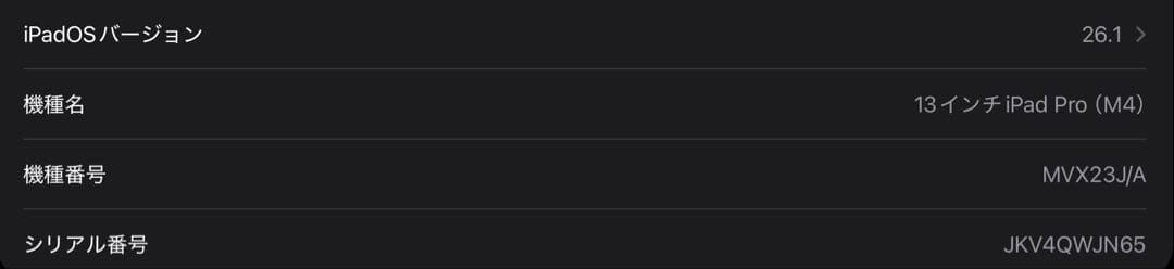 iPad Pro M4 Wi-Fi13インチ256GBキーボード　ペンシルプロ