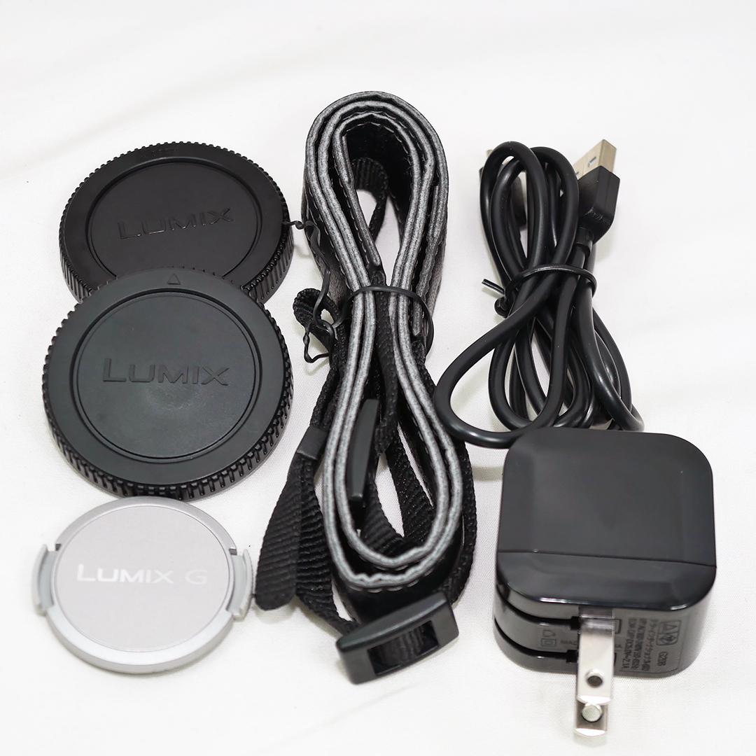 Panasonic Lumix DC-GF10 ＋ 標準ズームレンズ セット