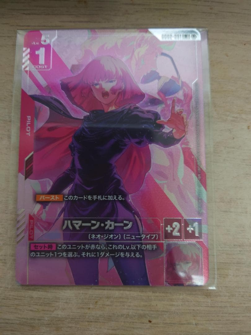 ニュータイプチャレンジ　ハマーン・カーン