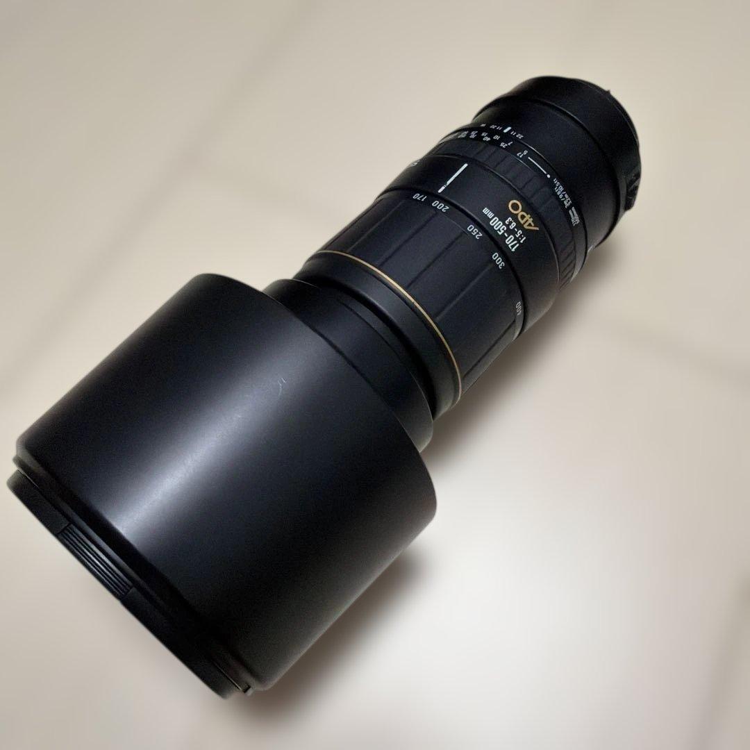 CANON用 SIGMA 170-500mm F5-6.3 APO DG