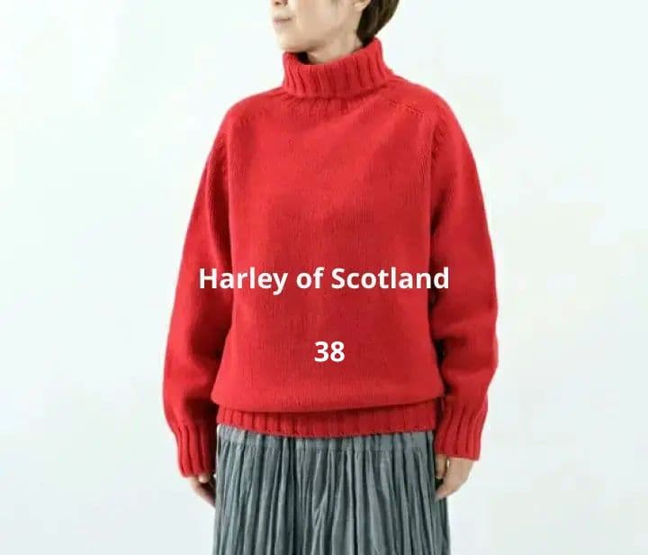 1694　ハーレーオブスコットランド　ラムズウール　38