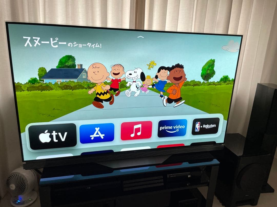 LG OLED 65E6P 激レア ラスト 3D 65インチ 直接引取のみ 大阪